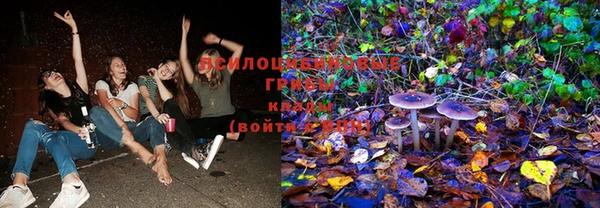 МДМА Горнозаводск