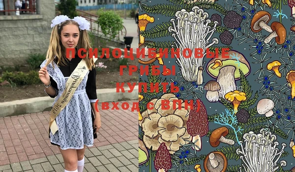 мдпв Горняк
