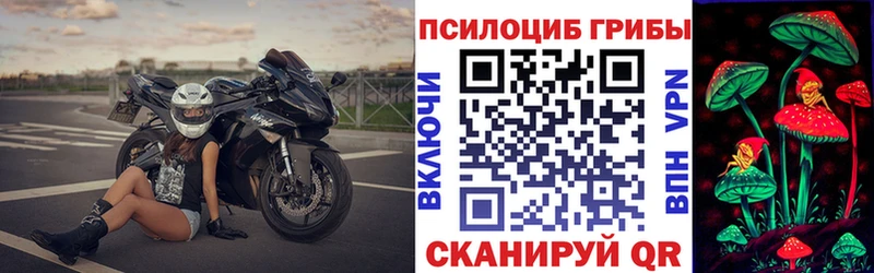 Псилоцибиновые грибы мицелий  кракен ссылки  Новая Ладога 