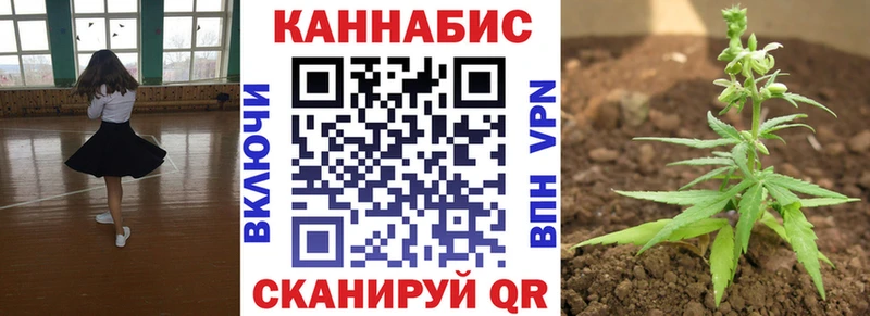 Конопля индика это клад Новая Ладога